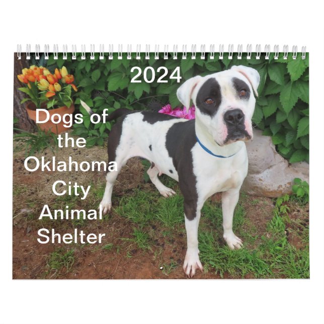 2024 Hunde des Tierschutzhauses Oklahoma City Kalender (Titelbild)