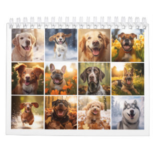2024 Hunde lieben Kalender