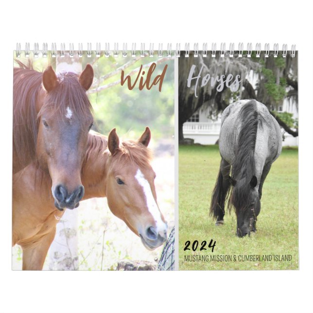 2024 - Kalender der Wilden Pferde der Mustang Miss (Titelbild)