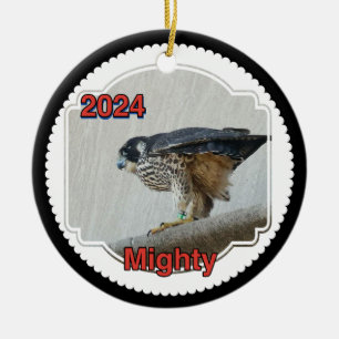 2024 Keramik Circle Ornament Mighty