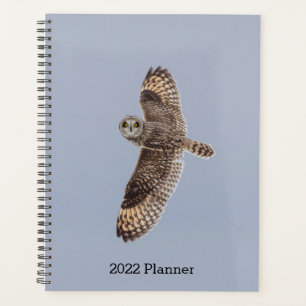 2024 Kurz gezüchtetes Schaf Planer