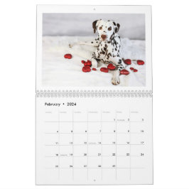 2024 Liebe & Schokolade Dalmatiner Kalender