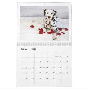 2024 Liebe & Schokolade Dalmatiner Kalender