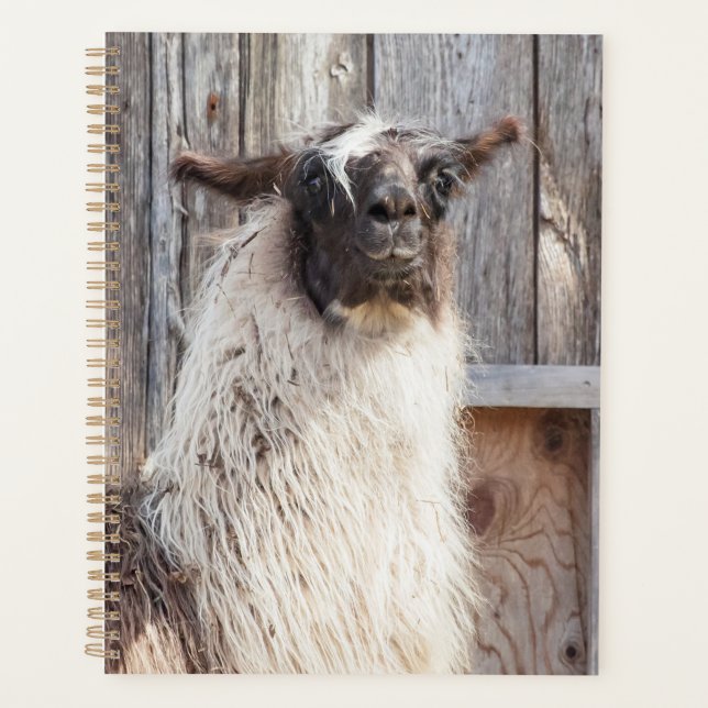 2024 Llama im Betrieb Planer (Vorderseite)