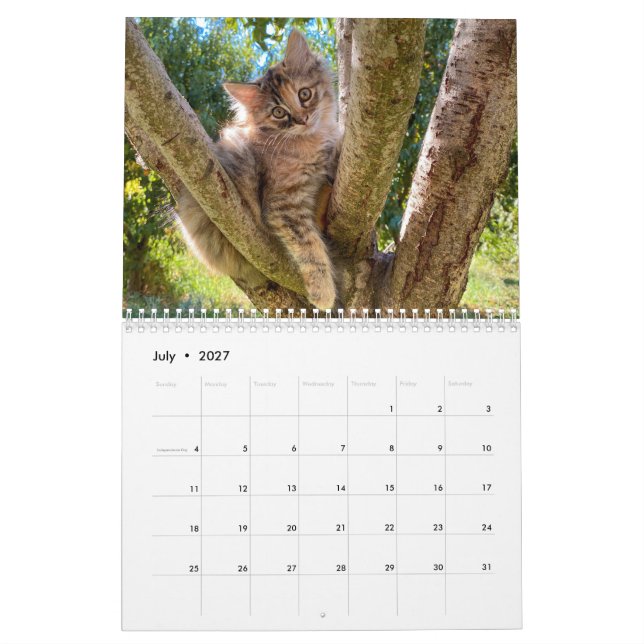 2024 Monatskalender für die Mauer Kalender (Jul 2027)