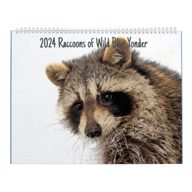 2024 Raccoons of Wild Blue Yonder Kalender (Titelbild)