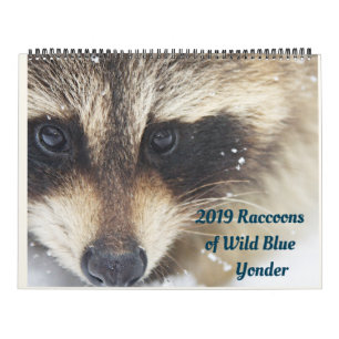 2024 Raccoons of Wild Blue Yonder Wildlife Rescue Kalender