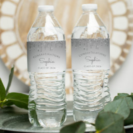 2024 Silver Glitzer Tropfen Graduation Party