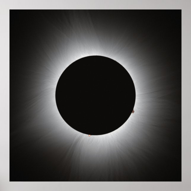 2024 Solar Eclipse - Corona Poster (Vorne)