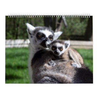 2024 Sweet Ring-Taille Kalender