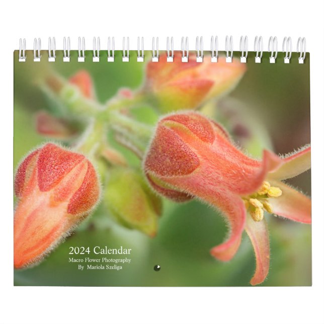2024 Wall Calendar Blume in Makrofotografie Kalender (Titelbild)