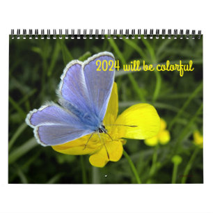 2024 wird ein farbenfroher Kalender sein