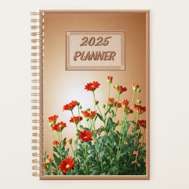 2025 (Devant)