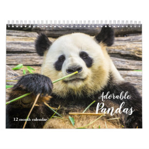 2025 Adorable Pandas Kalender
