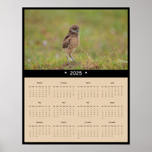 2025 Ausbrechen der Eule-Mauer-Kalender-Poster Poster
