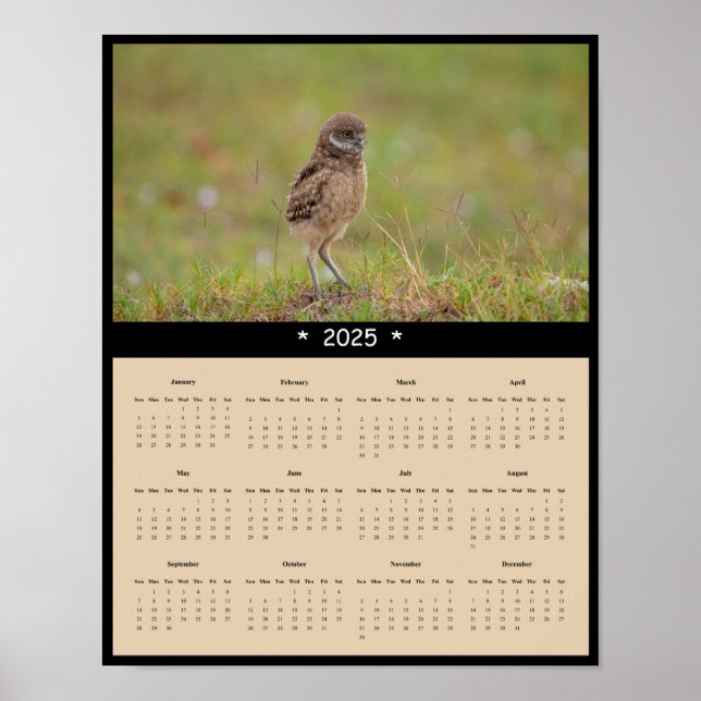 2025 Ausbrechen der Eule-Mauer-Kalender-Poster Poster (Vorne)