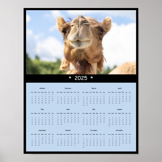 2025 Camel Wall Calendar Poster (Vorne)