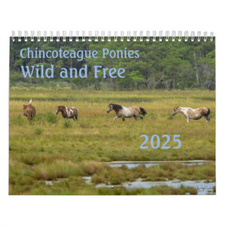 2025 Chincoteague Ponies 18 Month Calendar Kalender