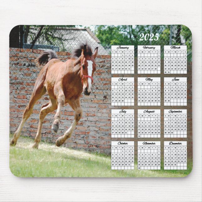 2025-Colt-Laufzeitkalender Mousepad (Vorne)