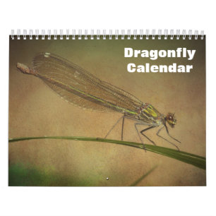 2025 Dragonfly Kalender