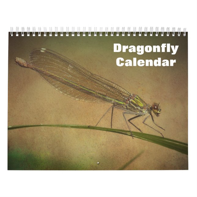2025 Dragonfly Kalender (Titelbild)