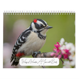2025 Ein Jahr mit dem modernen Foto "Vögel" Kalender