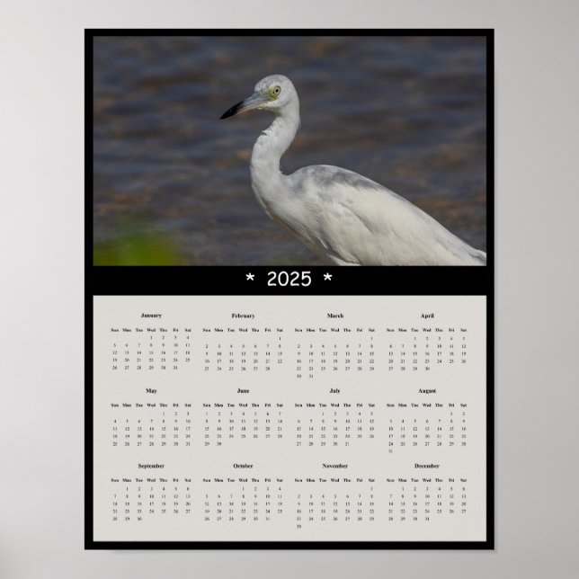 2025 Eintauchen-Mauerkalender-Poster Poster (Vorne)