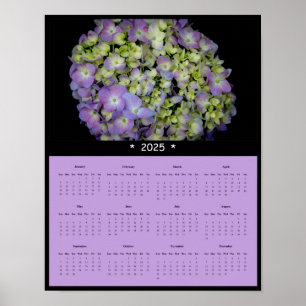 2025 Frühlingsblumen Wall Calendar Poster