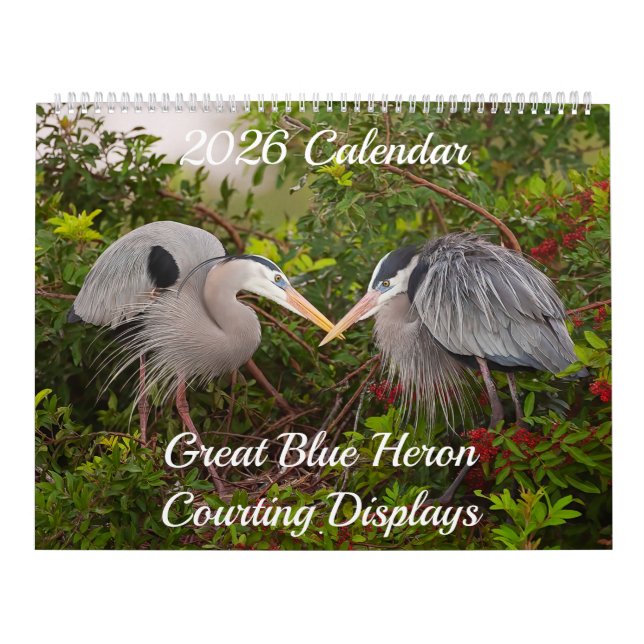 2025 Great Blue Heron Courting Displays Calendar Kalender (Titelbild)