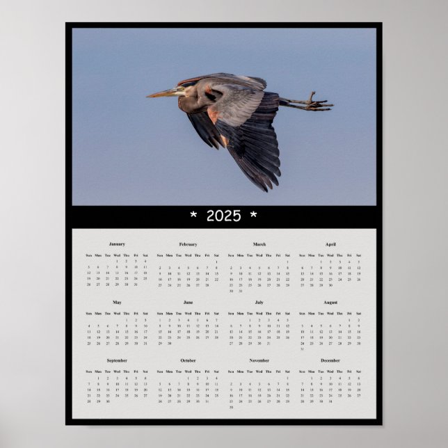 2025 Great Blue Heron Wall Calendar Poster (Vorne)