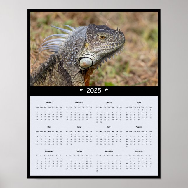 2025 Iguana Wall Calendar Poster (Vorne)