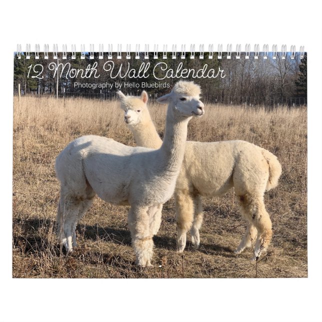 2025 Kalender - Hallo Bluebirds Farm Fotos (Titelbild)