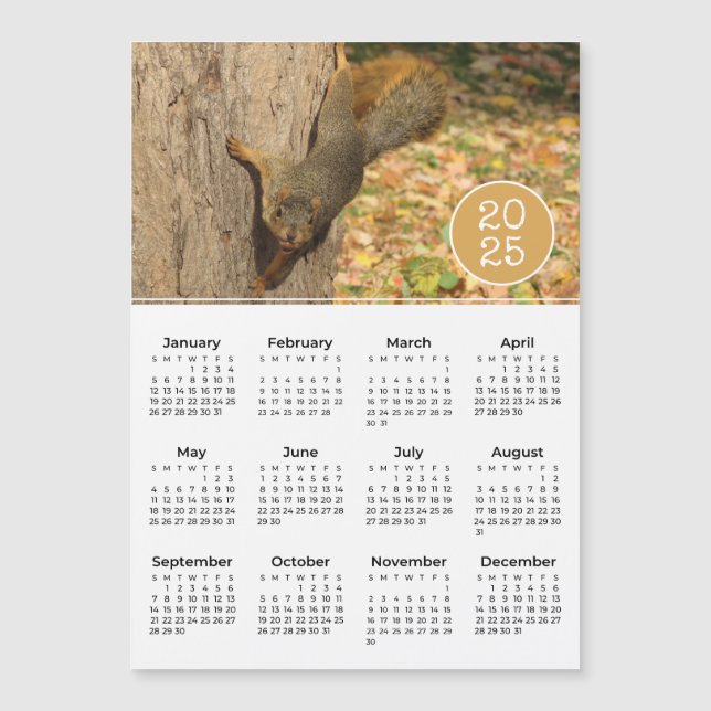 2025 Kalender Niedliches Eichhörnchen Foto Magnet (Vorderseite)