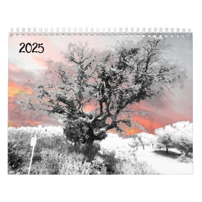 2025 Kalender Planung Kunst und Design (Titelbild)