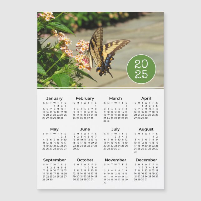 2025 Kalender Schmetterling Foto Magnet (Vorderseite)