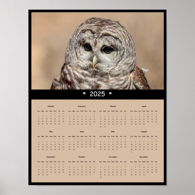 2025 Leseraucht-Mauer-Kalender-Poster Poster (Vorne)