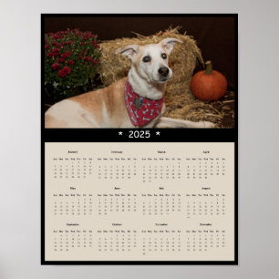 2025 Mixed Rasse Hund Wall Calendar Poster