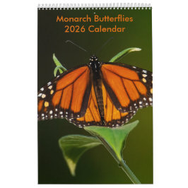 2025 Monarchschmetterlinge 1-Seiten-Kalender Kalender