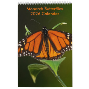 2025 Monarchschmetterlinge 1-Seiten-Kalender Kalender