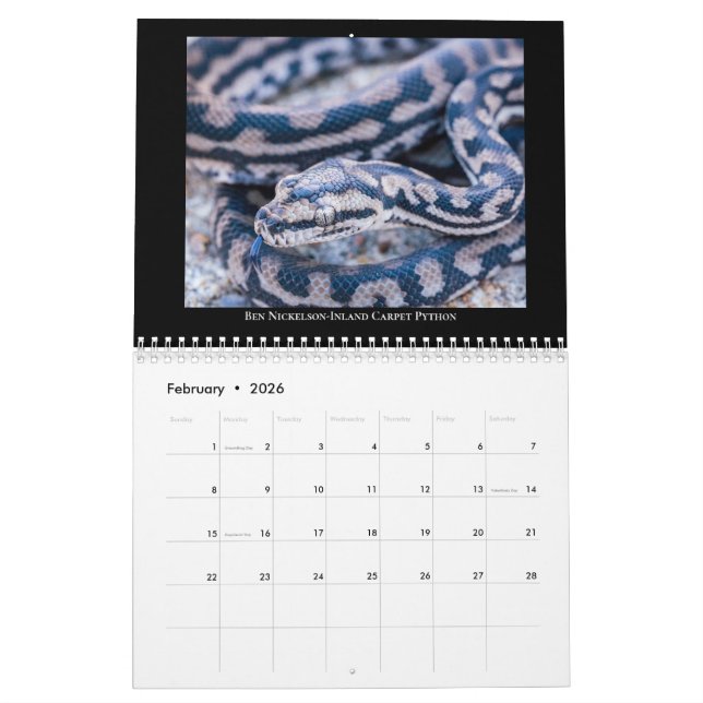 2025 Morelia Python Radio Calendar Kalender (Feb 2026)