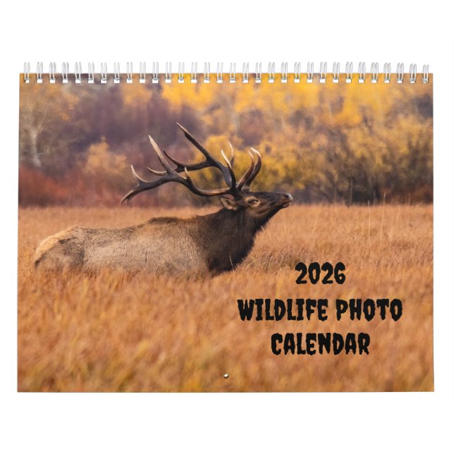 2025 Photo Faune Deux Page Calendrier Moyen (Protection)