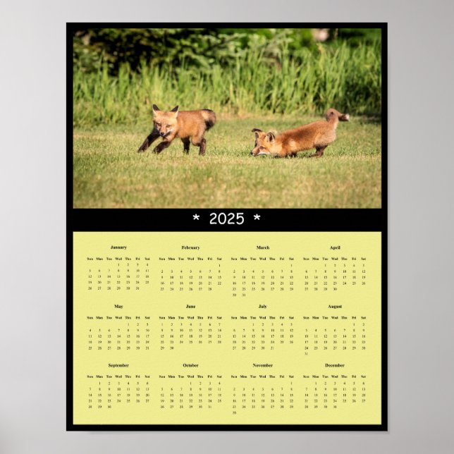 2025 Red Fox Kits Wall Calendar Poster (Vorne)