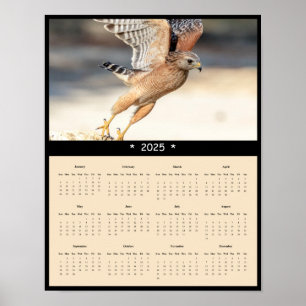2025 Red Shoulded Hawk Wall Calendar Poster