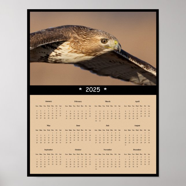 2025 Red Tail Hawk Wall Calendar Poster (Vorne)