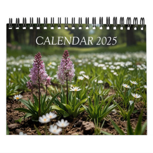 2025 Szenen-Wandkalender Kalender
