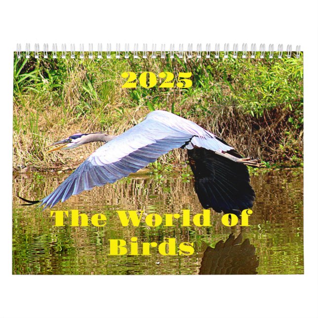 2025 - Welt der Vögel Kalender (Titelbild)