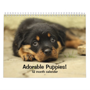 2026 Adorable Welpen Zwölf Monate Hund Kalender
