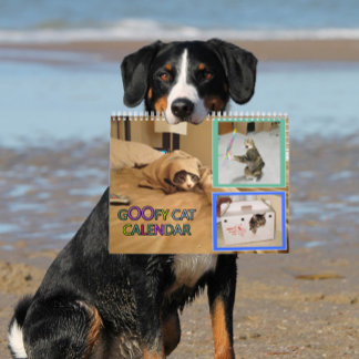 2026 alberner Katzenkalender Kalender
