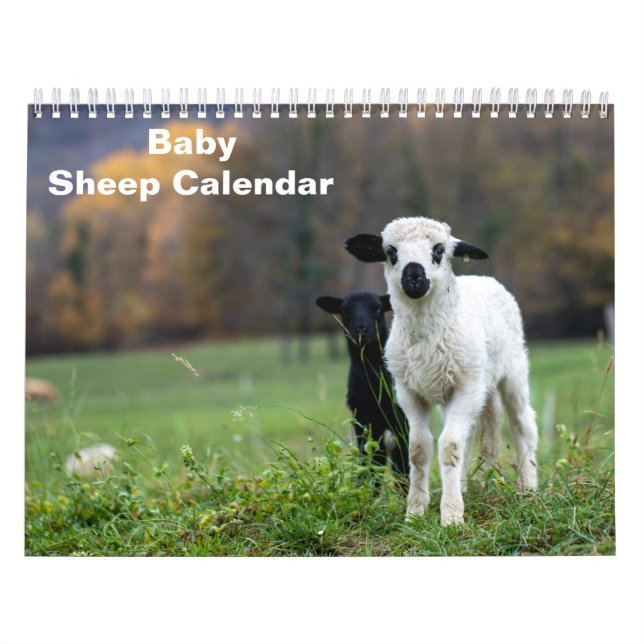 2026 Baby-Schaf Lamm Kalender (Titelbild)