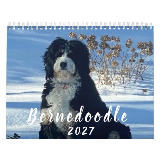 2026 Bernedoodle-Fotokalender Kalender (Titelbild)